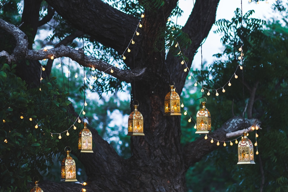 hang lights around tree